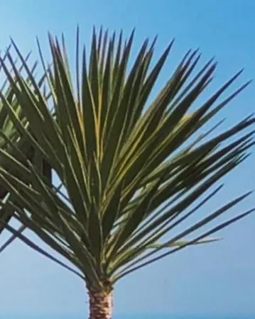 Francesca - Manfredi Homes&villas 빌라 *