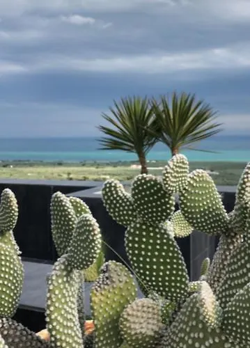 Francesca - Manfredi Homes&villas *